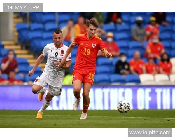 足球球星小佩的故乡揭秘 他来自哪个国家和城市