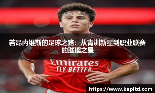 若昂内维斯的足球之路：从青训新星到职业联赛的璀璨之星