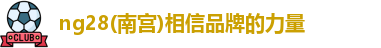 ng28(南宫)相信品牌的力量logo